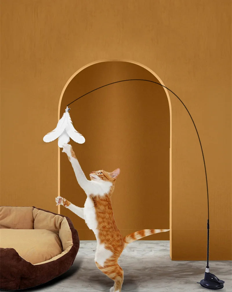 Cat Teaser Suction Cup Toy