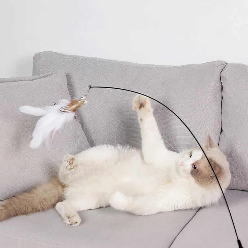 Cat Teaser Suction Cup Toy