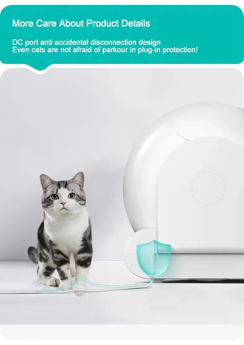 Self-Cleaning Litter Box