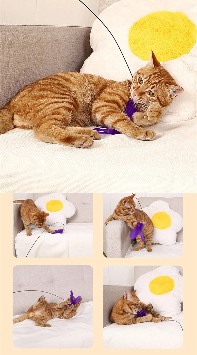 Cat Teaser Suction Cup Toy